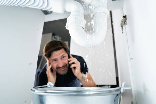 Best Sewer Line Repair  in Bellevue, PA
